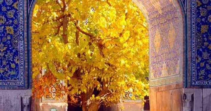 moschea