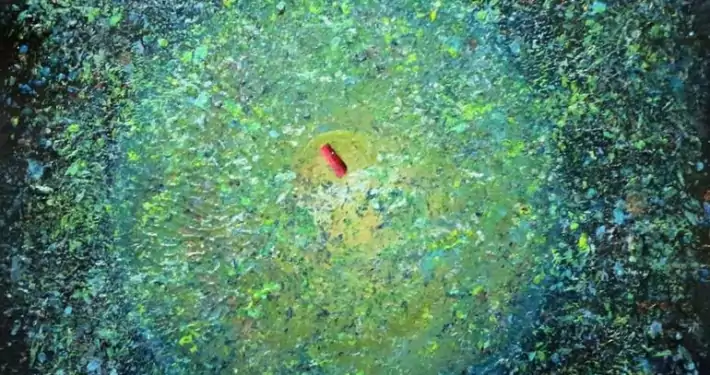 Le tre verità 15 umile-derviscio